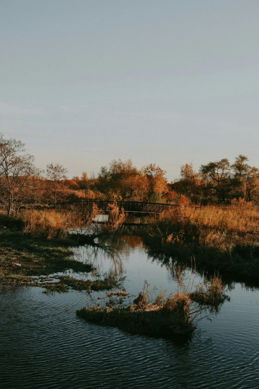 a scenic po of the river and the bridge