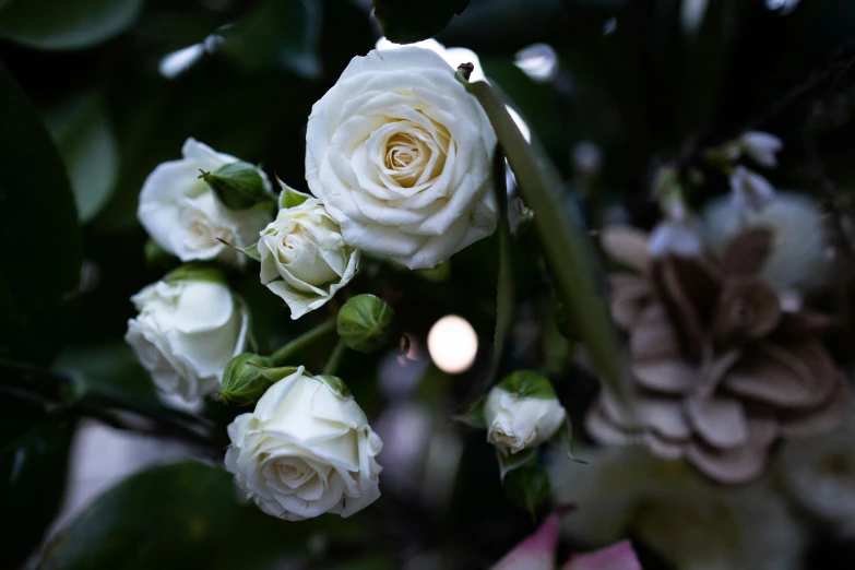 some flowers sitting on the nches near some leaves