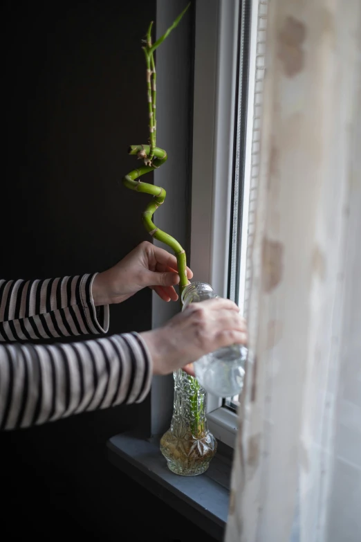 a woman is reaching out to pick up an orchid from a vase