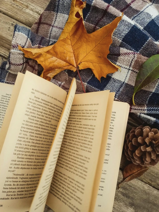 a book and a maple leaf lay on a plaid blanket