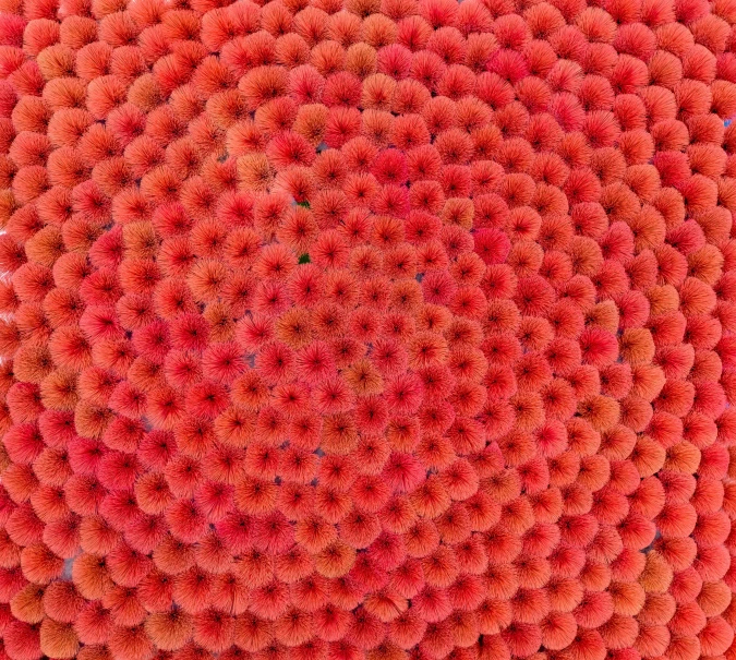 a large circle with a lot of orange balls around it