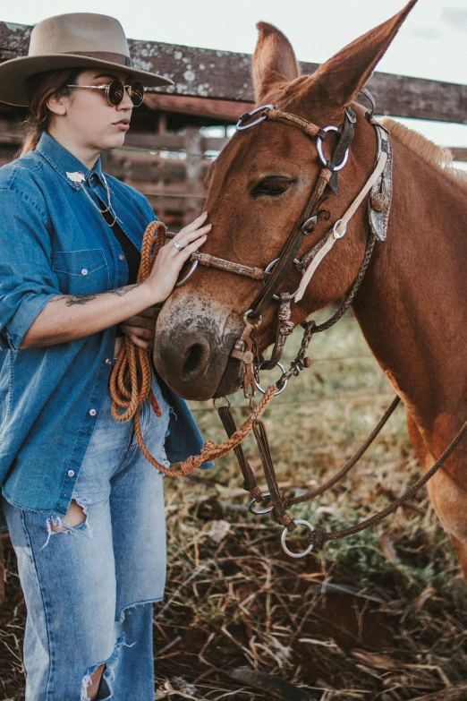 a woman in a cowboy hat next to a brown horse