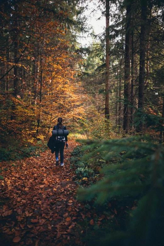 a person wearing a backpack and a bag walking in the woods