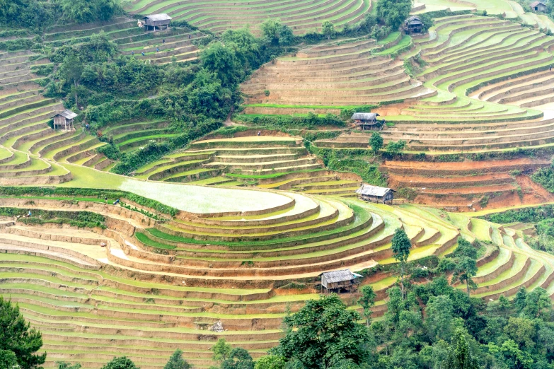 an aerial view shows rows of terraced fields and houses