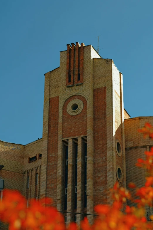 an orange flower is near a tall building