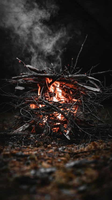 a pile of wood burning on top of fire pit