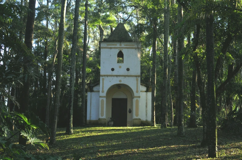 there is an old church in the middle of the trees