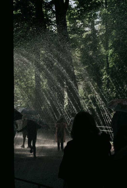 the rain is coming in from the trees in the background