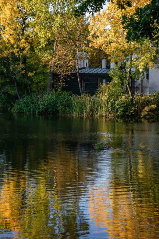 a small house near the water and trees