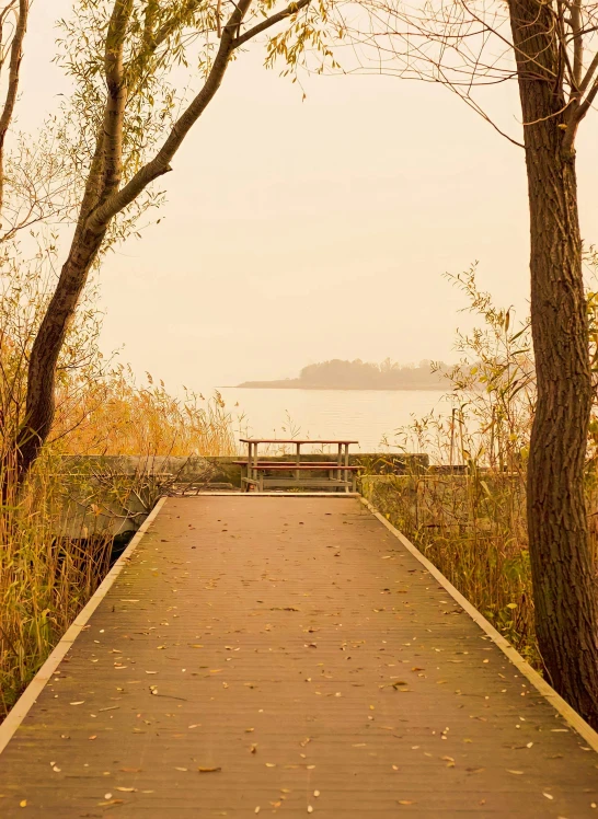 an empty pier in the forest during fall