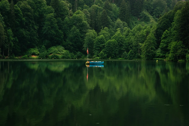 a small boat floating on top of a lake surrounded by forest