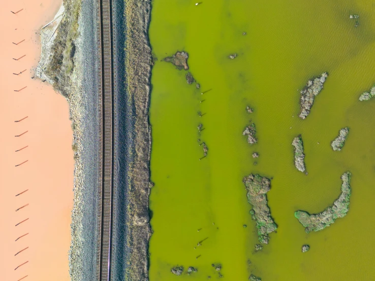 an aerial view of a beach with a lot of green grass