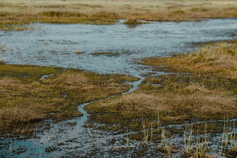 a water supply field has a muddy dle