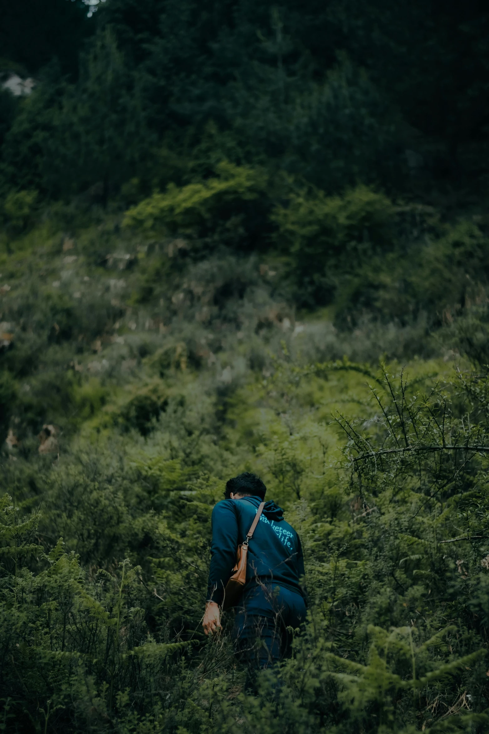 a man with a backpack walking up a hill in the woods