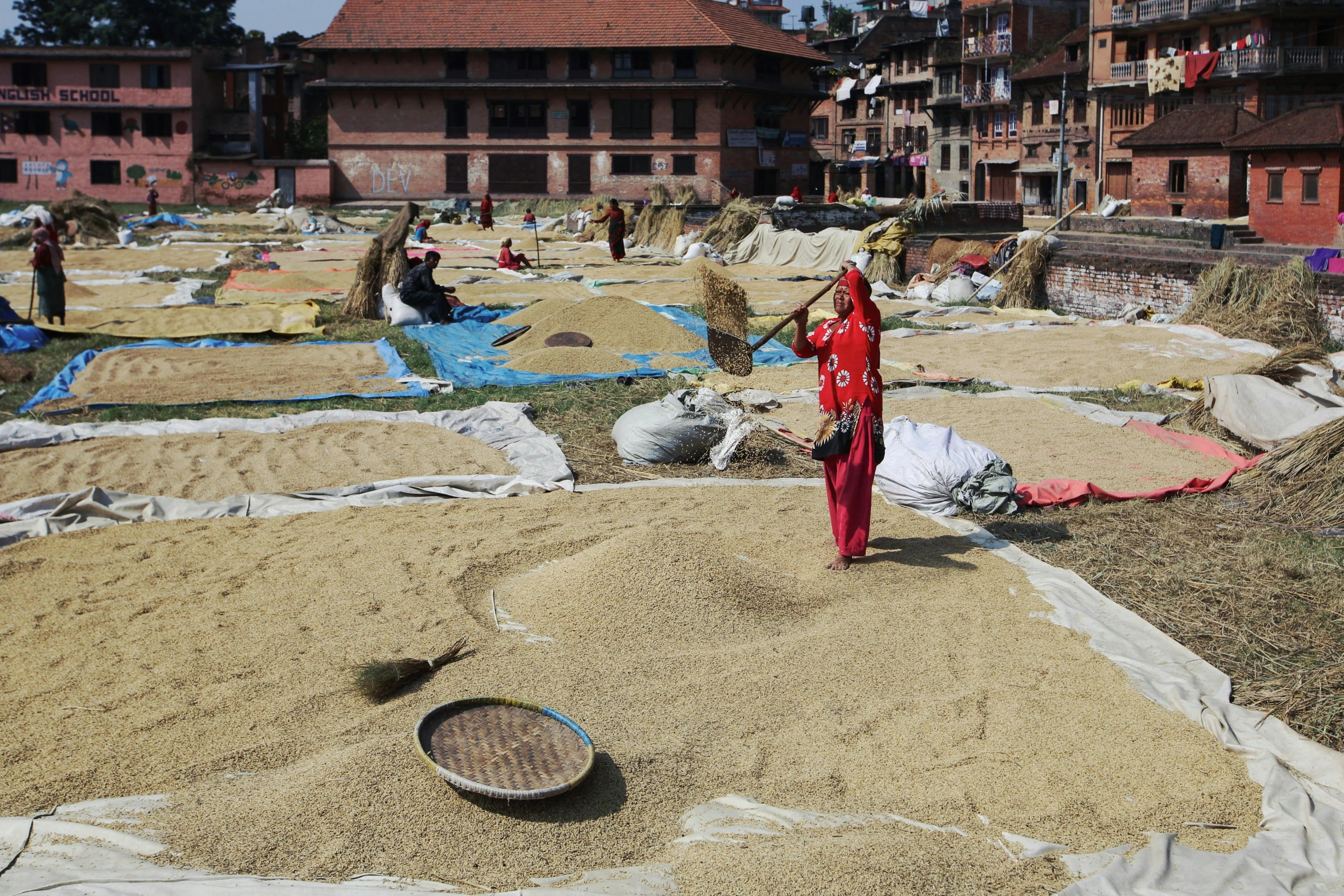 some people building houses on sand with small piles