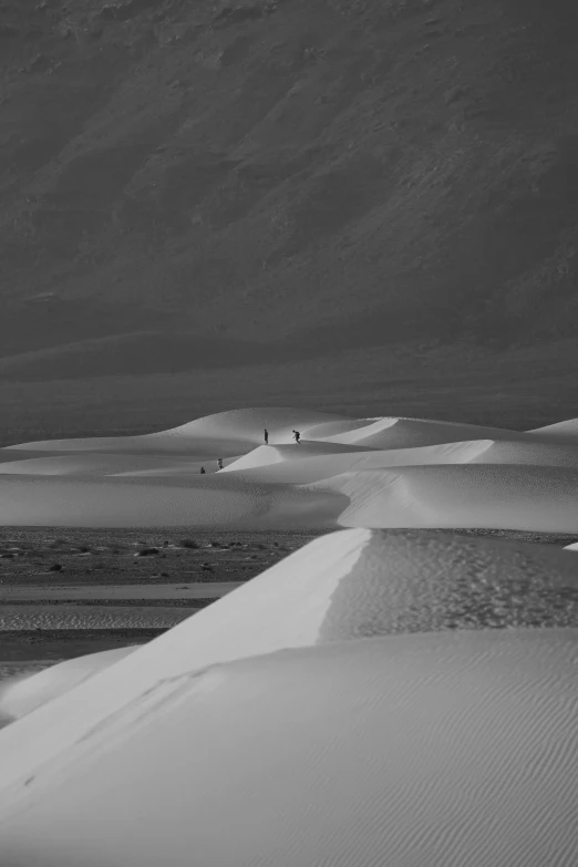 several people walk down a path over sand dunes