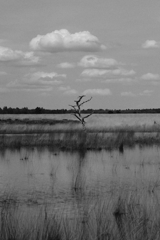 a lone bird is sitting in a water area