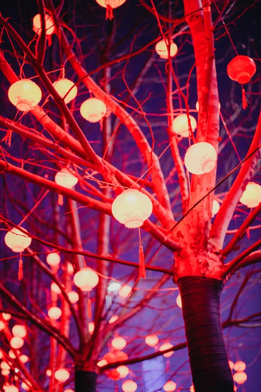 there are several lanterns on a tree for decorations