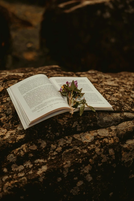 an open book with flowers sitting on a rock