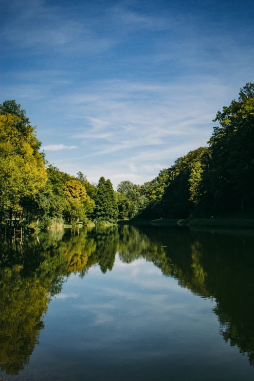 a view from the water at a forest