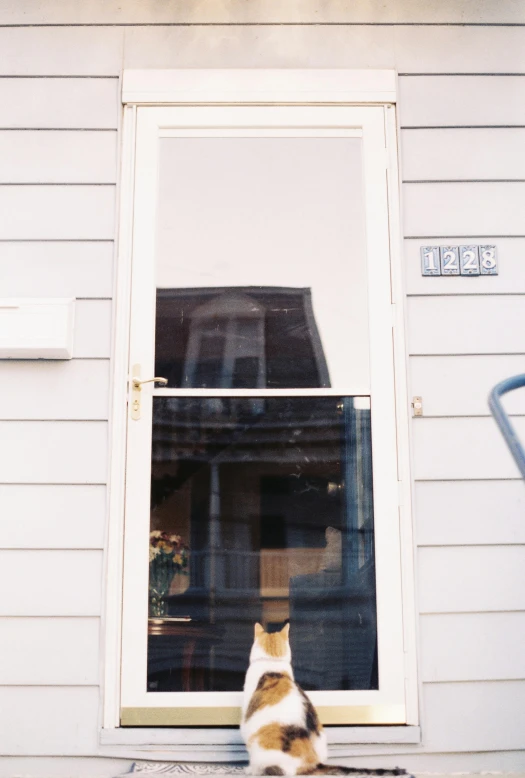 cat with its face next to the door to a home