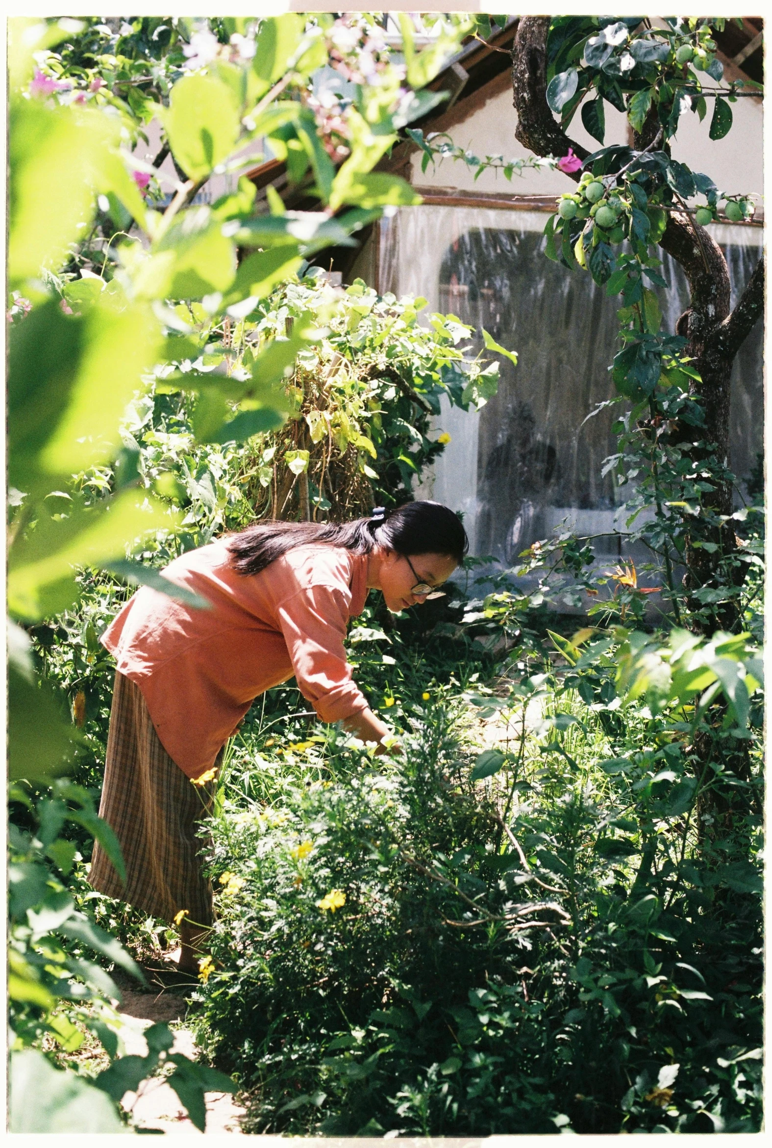 a woman picking plants from a garden with her house in the background