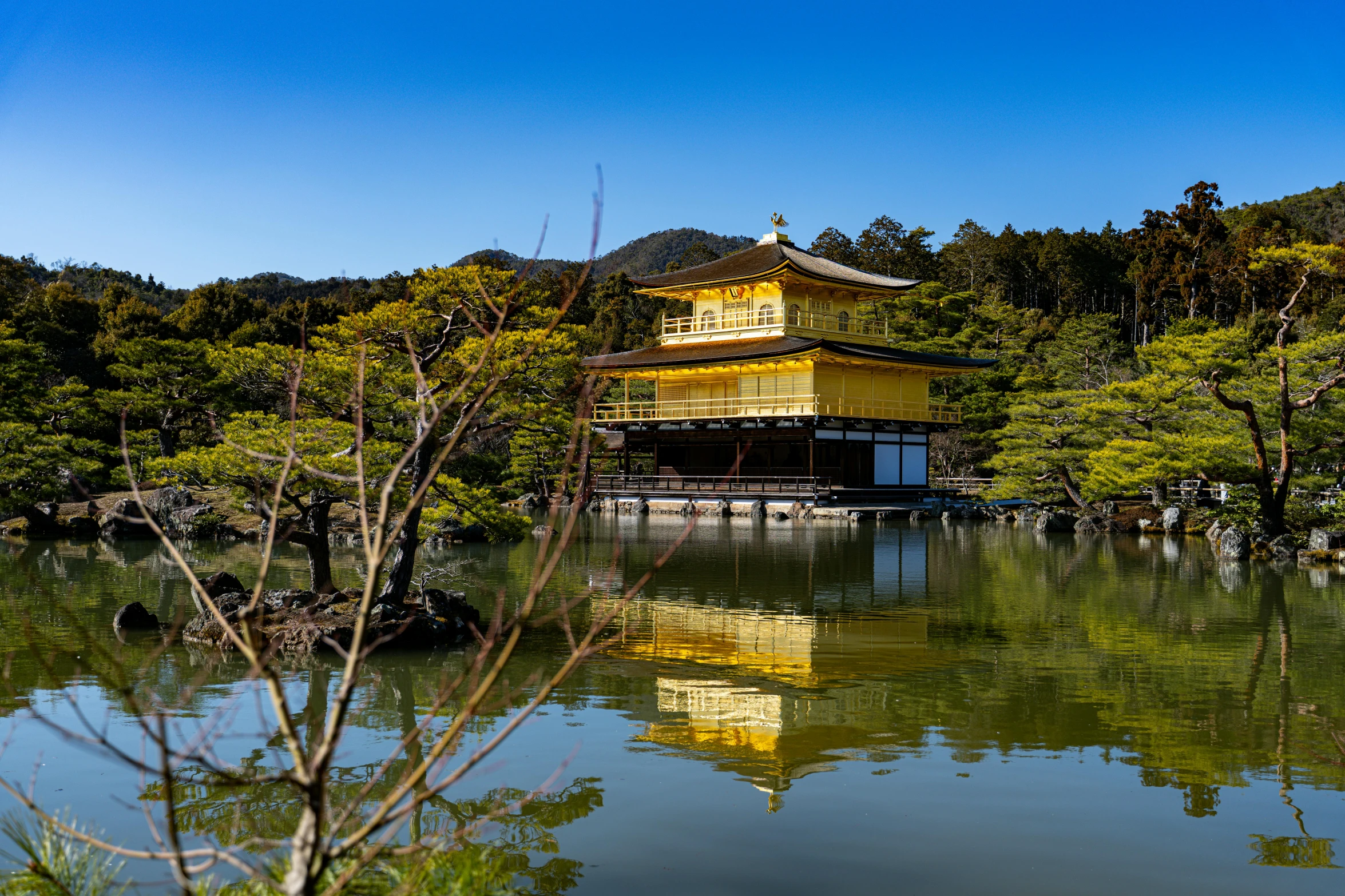 a building next to some trees near water