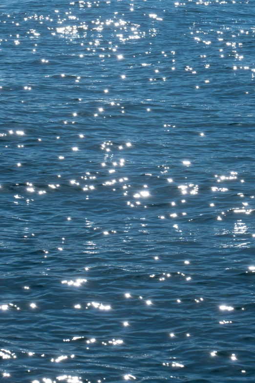 some water a black board some lights and some water