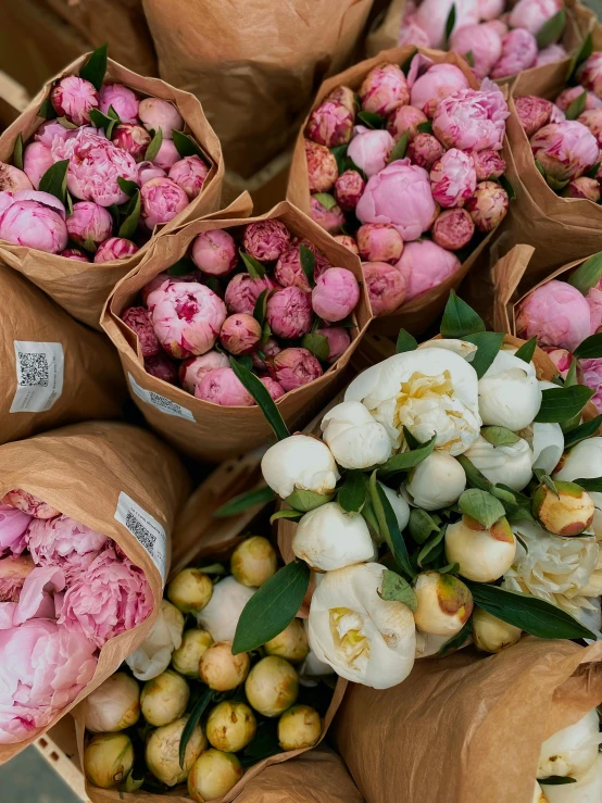 a bunch of flowers laying on some cloth bags