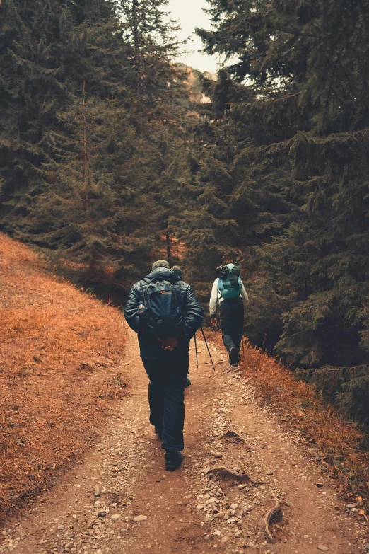 two people with back packs trekking through the woods