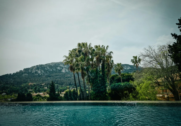 there is a pool next to some trees