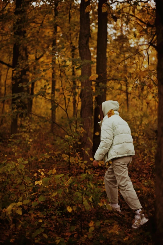 a child walking through the woods in the fall