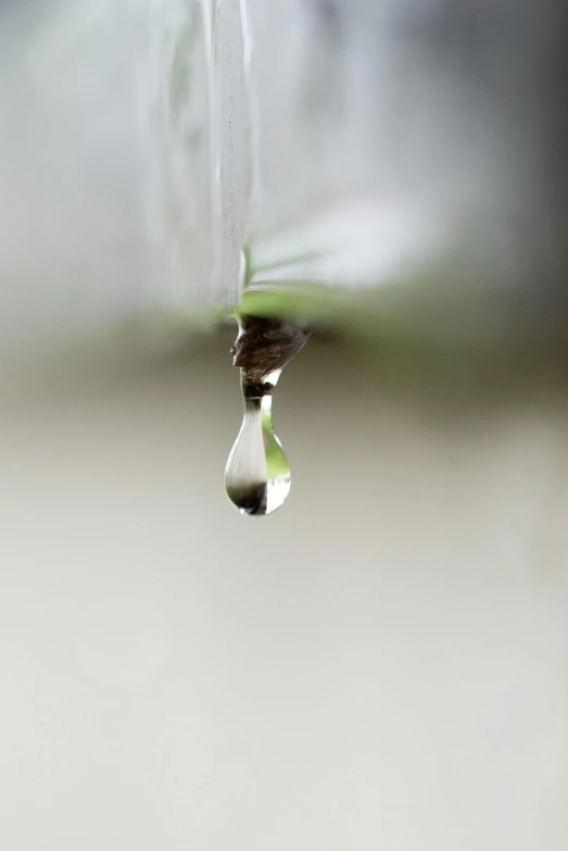 rain drops into the air and are reflected in a drop of water