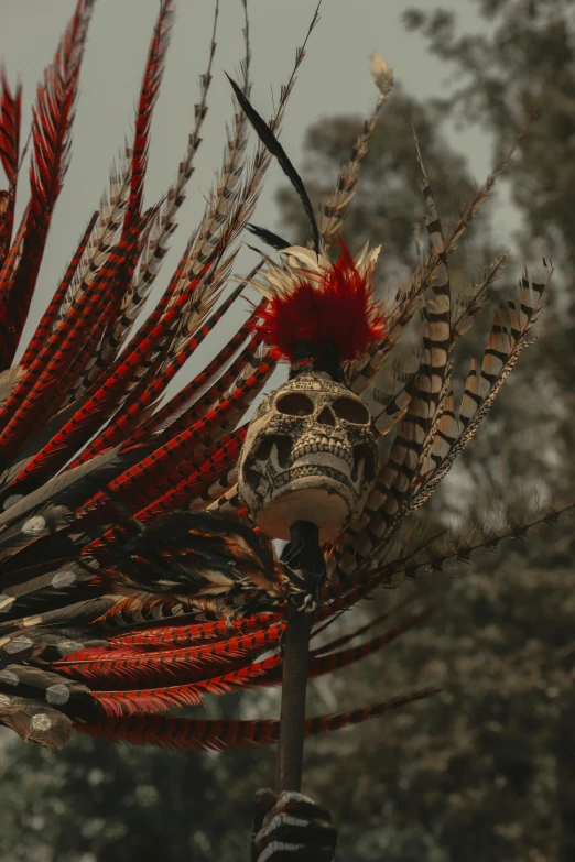 this is an image of a flower with a skull mask