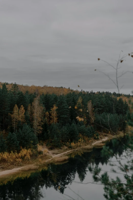 a river surrounded by lots of trees in the distance