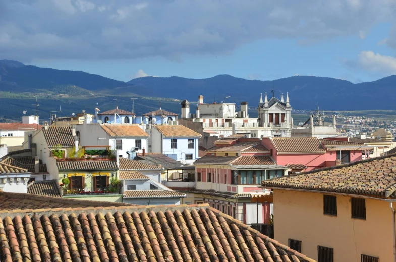 old european roofs with a view of the city