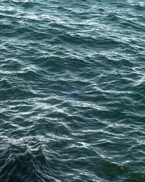 an image of a boat with water in the background