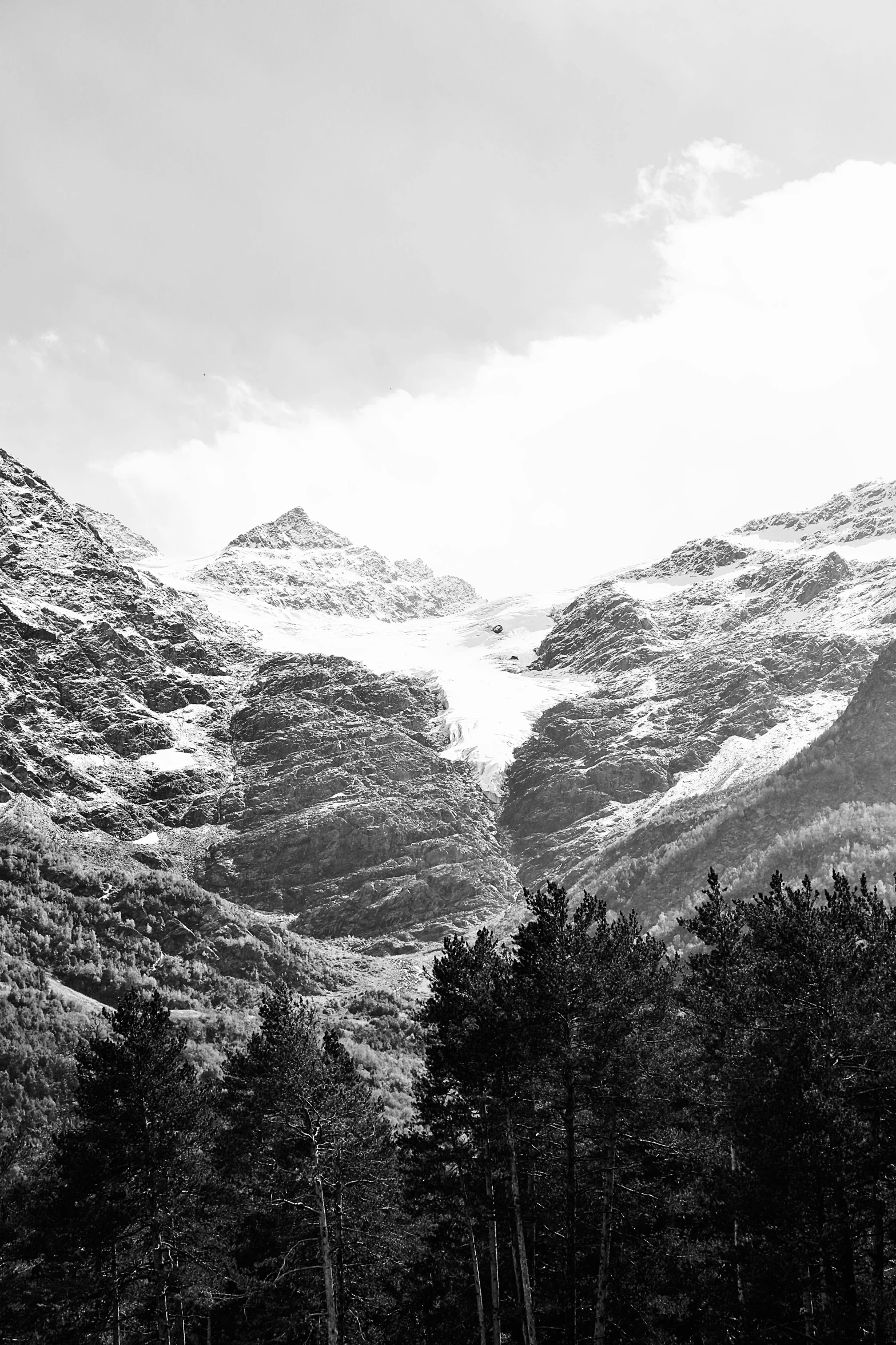 a mountain with trees in the foreground and a cloud behind it