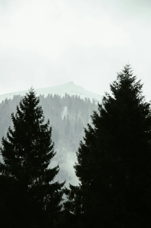 the mountains and trees are covered with snow