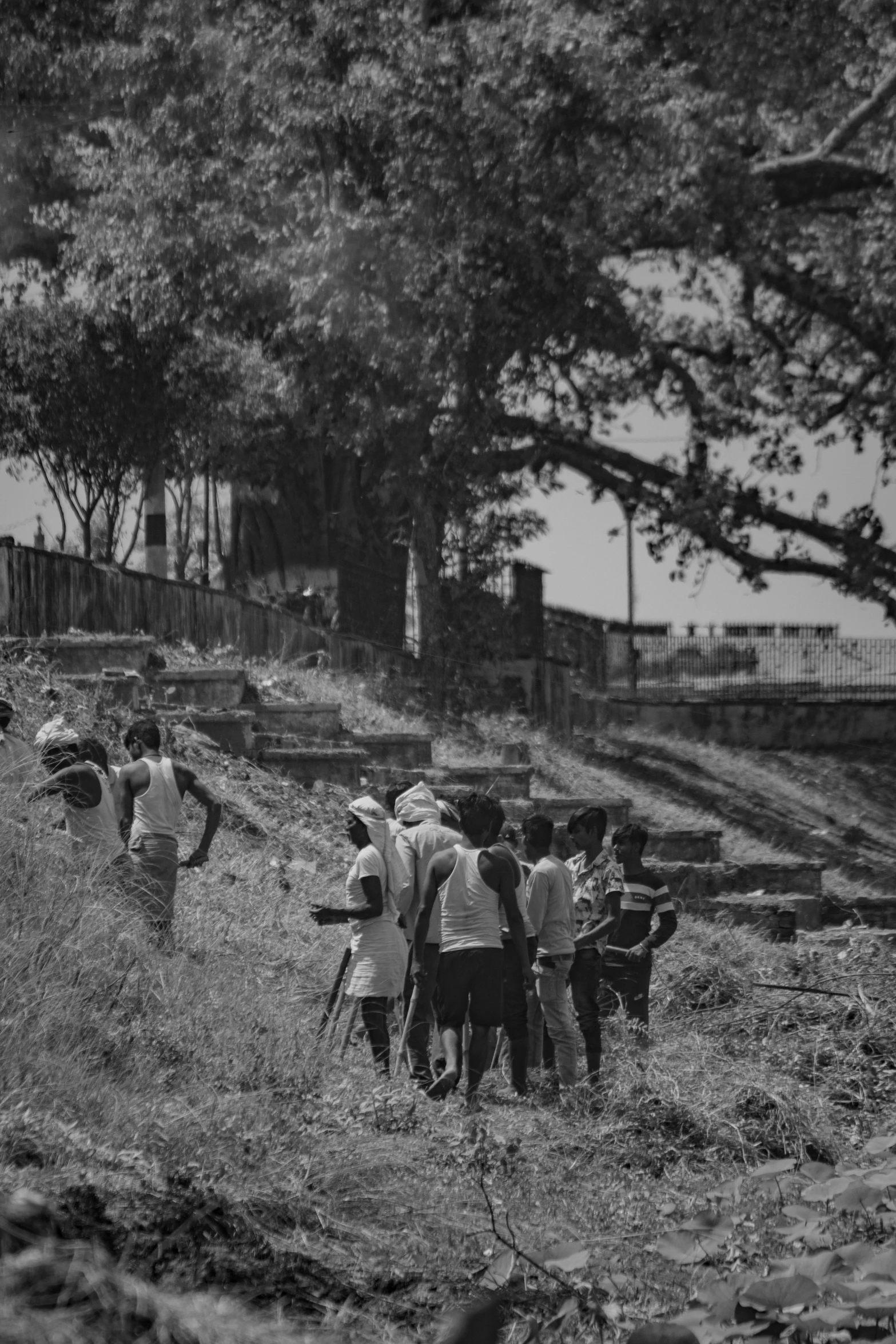 a group of people are picking up leaves from the tree