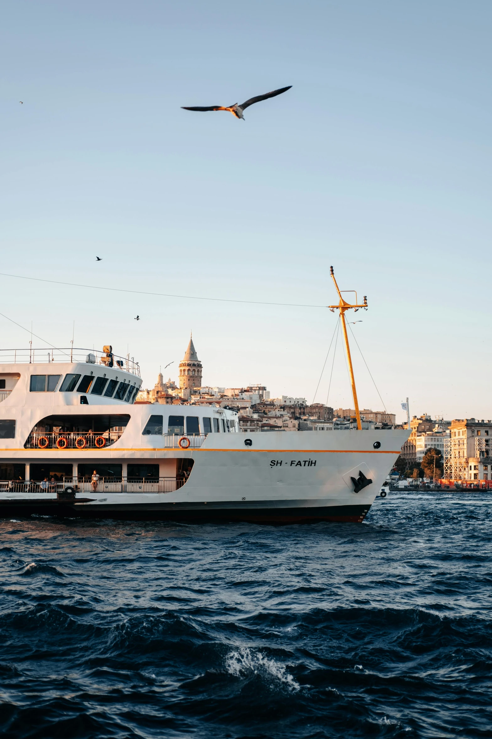 seagull flying in front of a large boat in the water