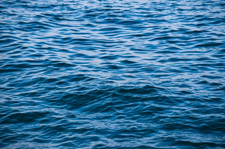 a po of blue water, from the water level