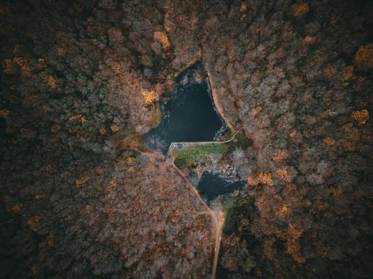 a bird's - eye s of a river in a wooded area