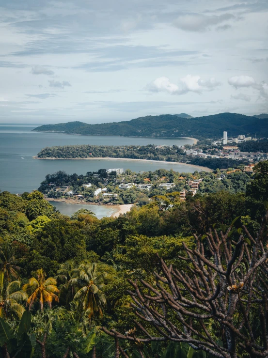 a view from above of a tree filled coastline