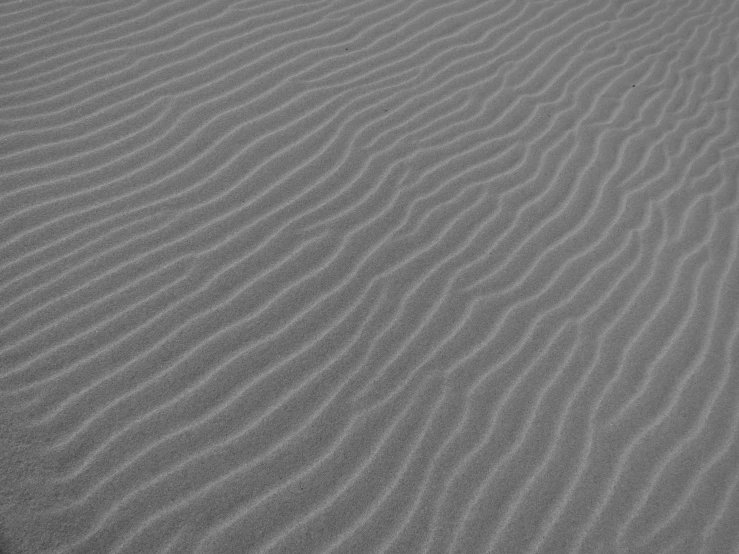 a picture of the sand in a field