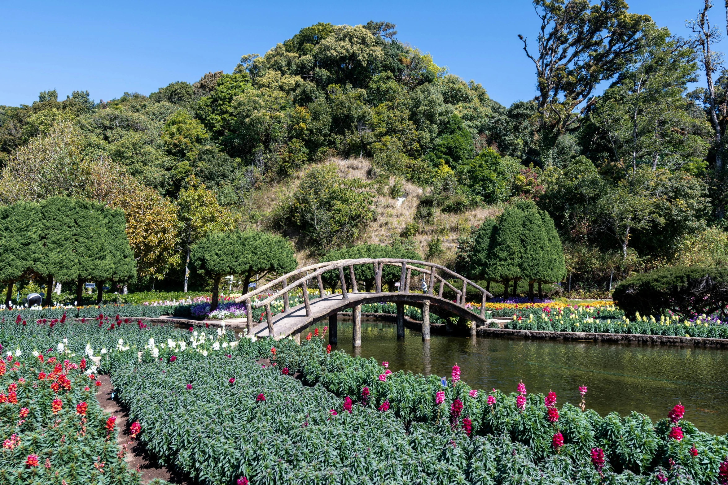 bridge in garden surrounded by flowers and shrubs