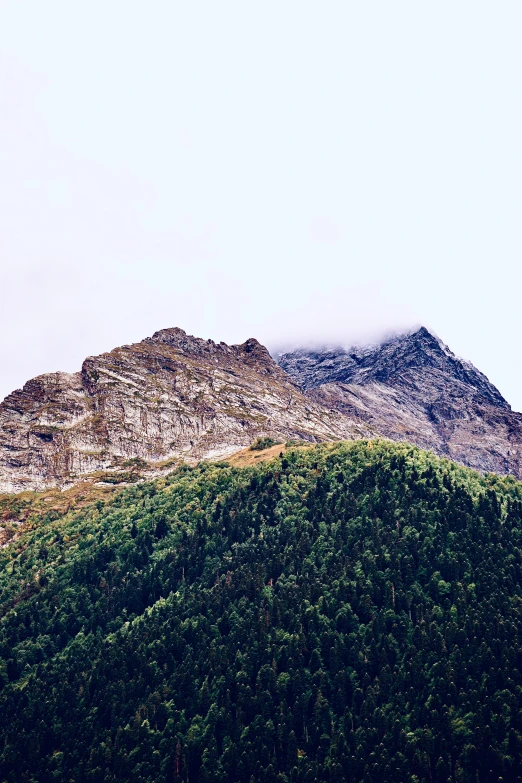 a tall mountain covered in green trees