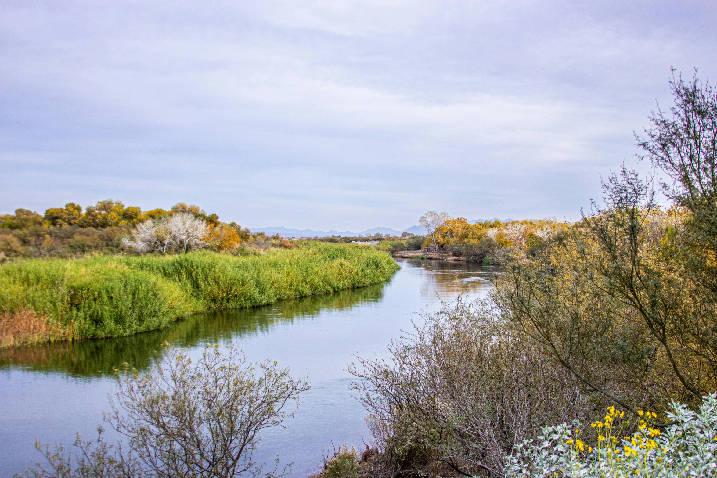 a view of the river in the fall time