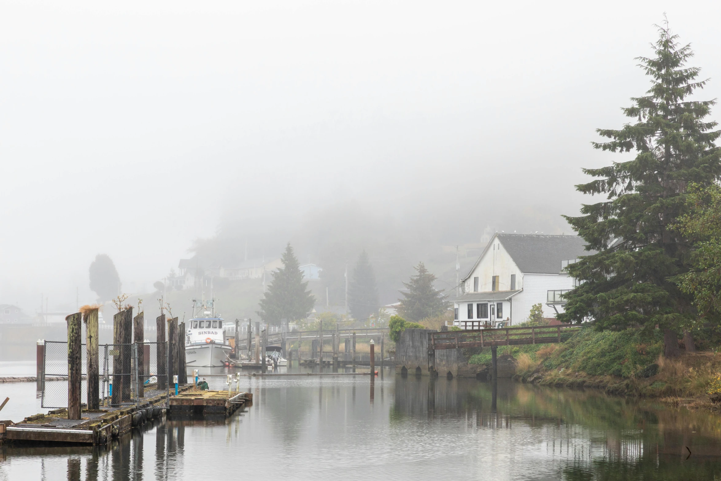 fog covers a body of water near trees and houses