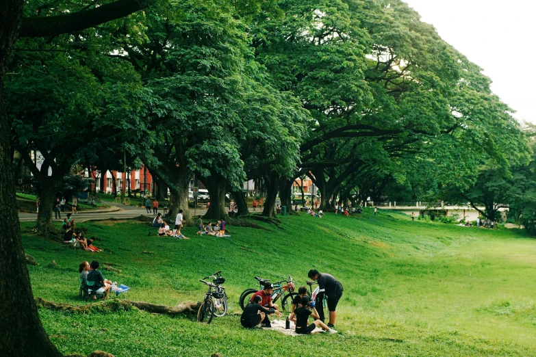 a number of people standing on a grassy hillside